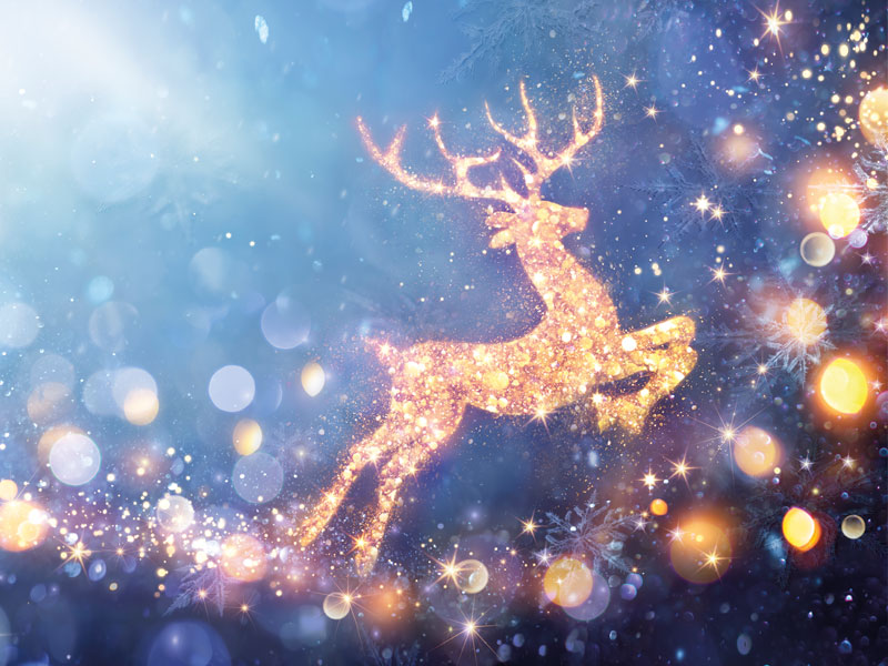 Frohe Weihnachten und ein freidliches Jahr 2023!